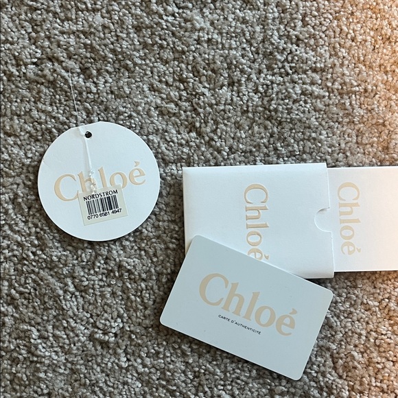 Chloe Brown Crossbody Bag with Gold Accents - Picture 11 of 15